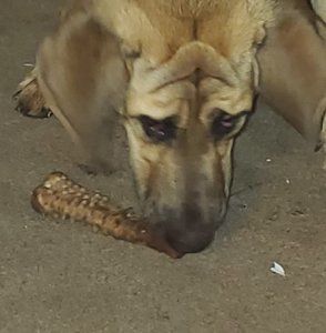 Meet your Posher, Laurie